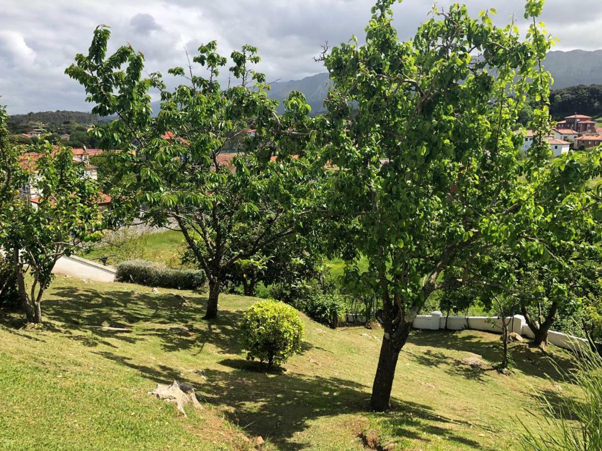 Apartamentos - Casa El Ancla Celorio  Dış mekan fotoğraf